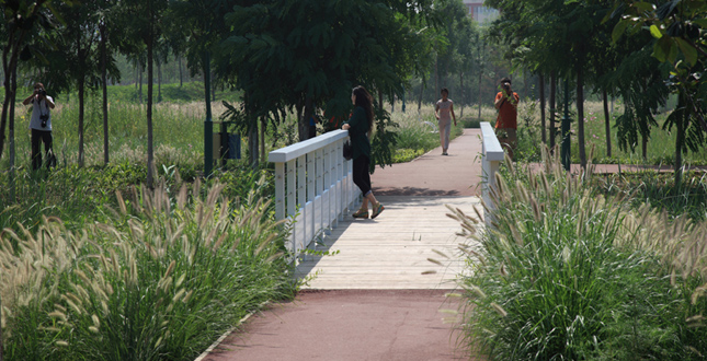 Tianjin Qiaoyuan Park