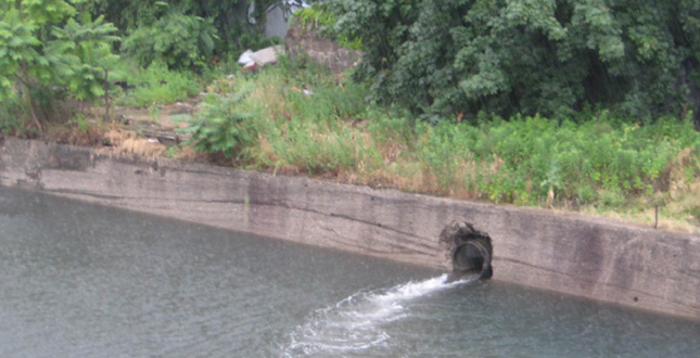 Gowanus Canal Sponge Park