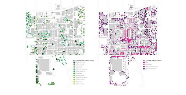 California Institute of Technology Landscape Master Plan