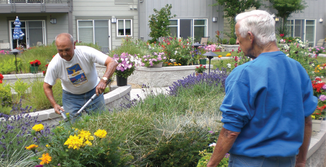 Access to Nature for Older Adults