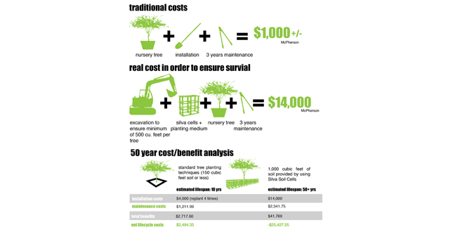Achieving the Goal of 25 Percent Canopy Coverage in Phoenix by 2030