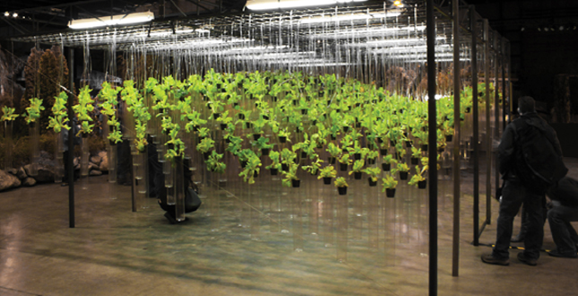 plantLAB