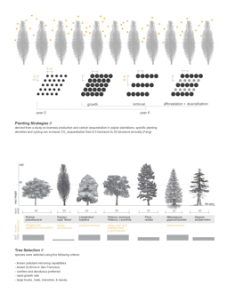 50,000 Trees