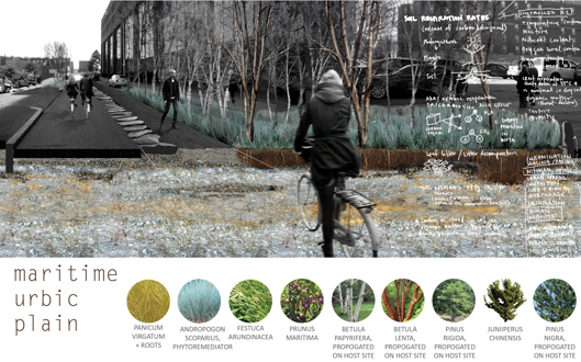 PROVIDENCE DIGS_ Designing Infrastructural Soil for Grounded Urbanism