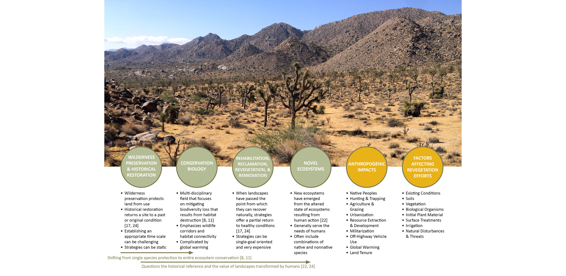 The literature review was divided into three sections, which included conceptual issues surrounding restoration ecology, the anthropogenic impacts to …