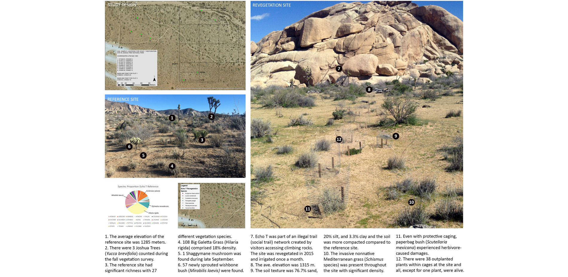 Echo T revegetation site was restored by the National Park in 2015 with outplanted container stock, caged, and hand watered.…