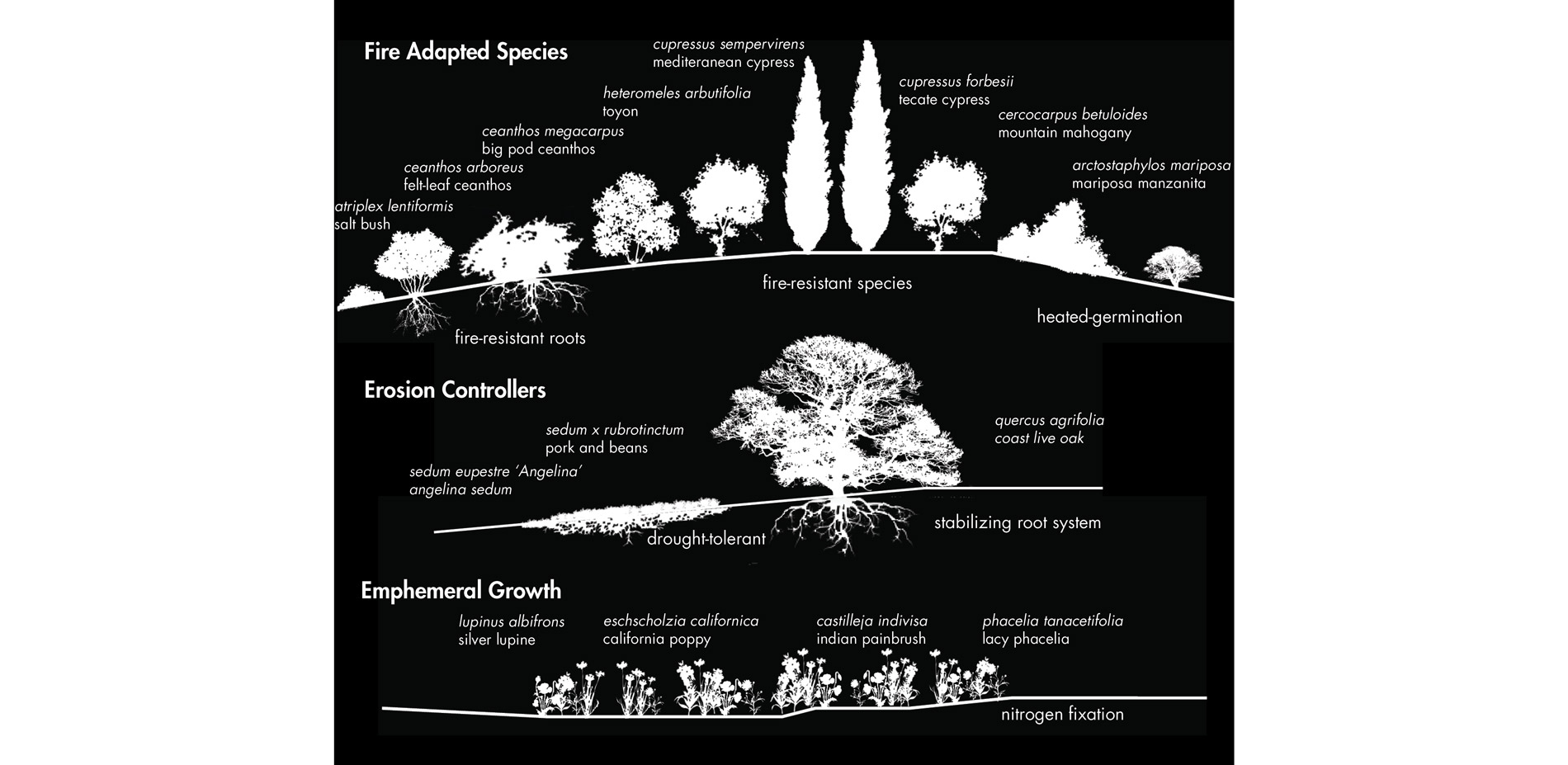 pyro-diversion-planning-for-fire-in-the-san-gabriel-valley-2018-asla