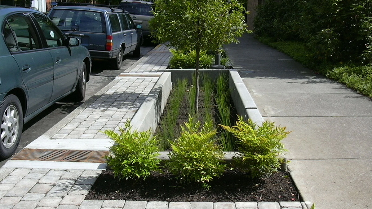 ASLA 2006 Professional Honor Award in General Design, SW 12th Avenue Green Street, Bureau of Environmental Services, City of Portland, Kevin Robert Perry, FASLA.