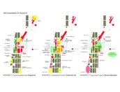 PROGRAMMING SCENARIOS