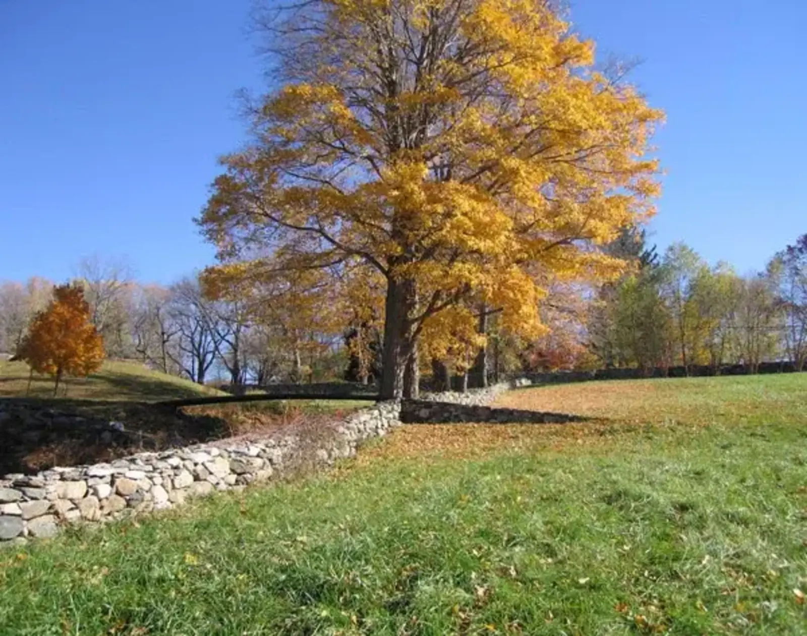 Glass House restoration by Pressley Associates / Pressley Associates