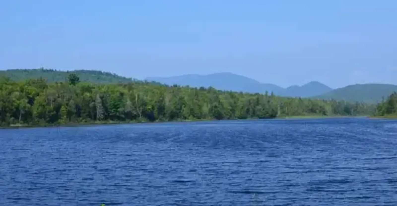 Image credit: T. J. Boyle Associates