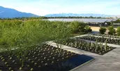 Sunnylands Center & Garden / Dillon Diers Photography | OJB