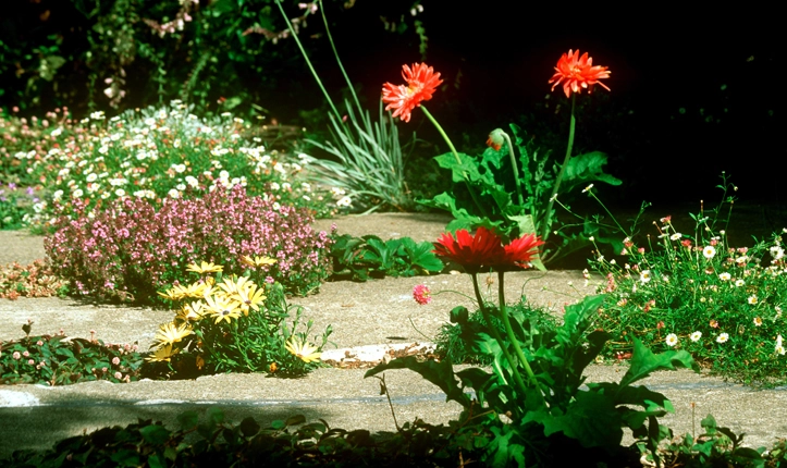 ASLA Honor Award Recipient, The Crack Garden by CMG Landscape Architecture (Photo: Tom Fox)