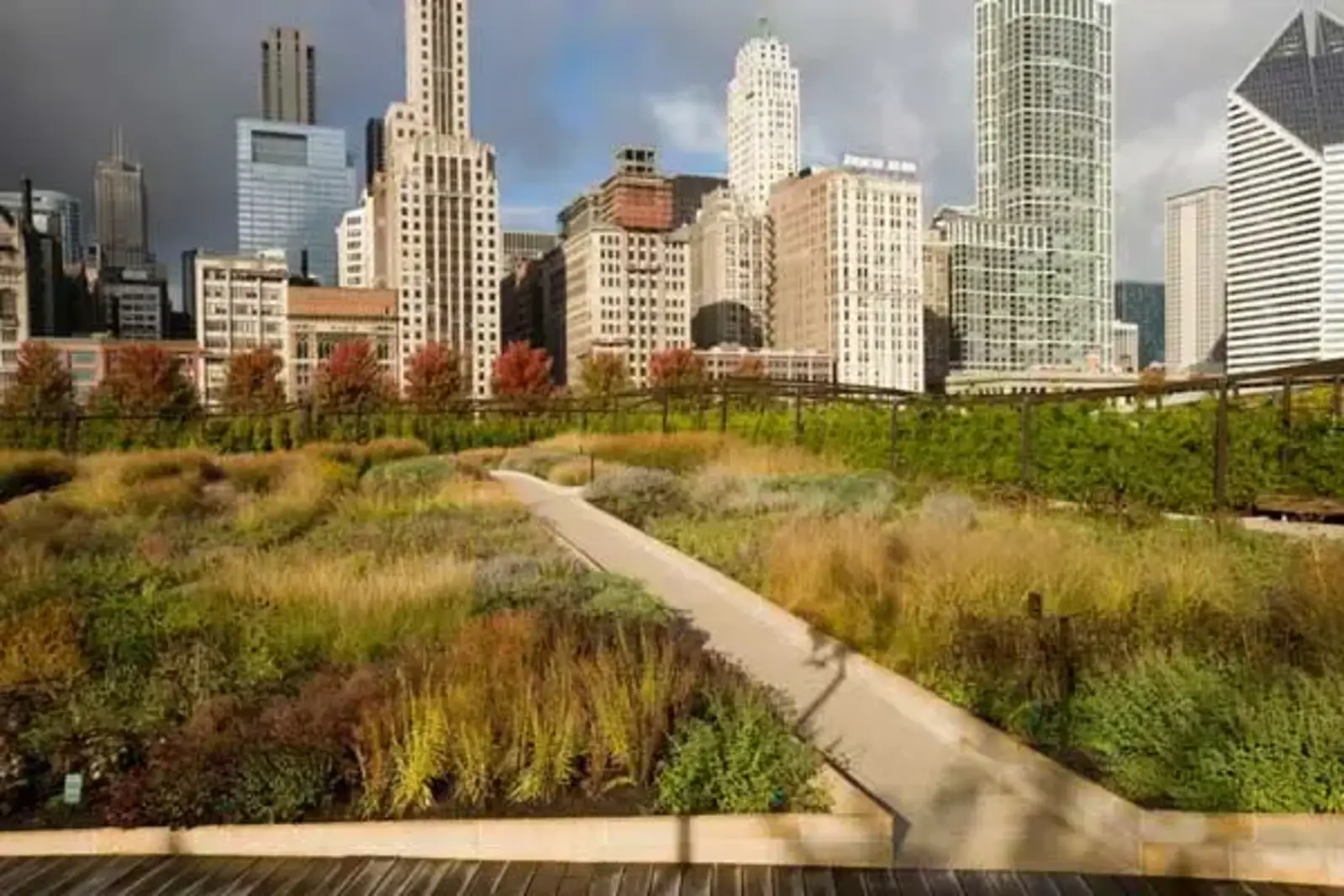 ASLA 2008 Professional General Design Honor Award. Lurie Garden, Chicago / Mark Tomaras