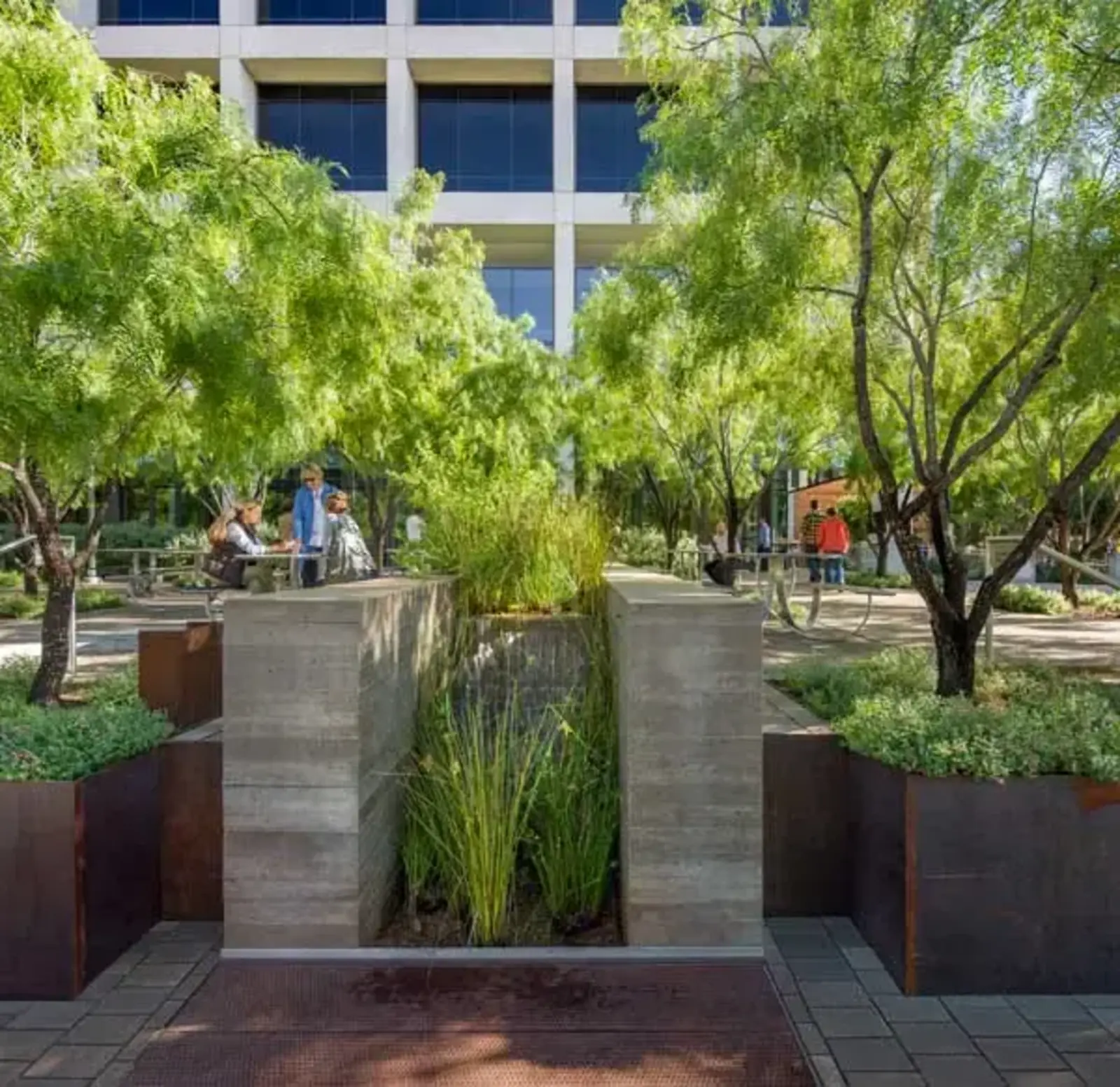 University of Texas at Austin Belo Center for New Media garden / Bill Timmerman