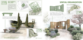 Spatial relationships and organization of areas