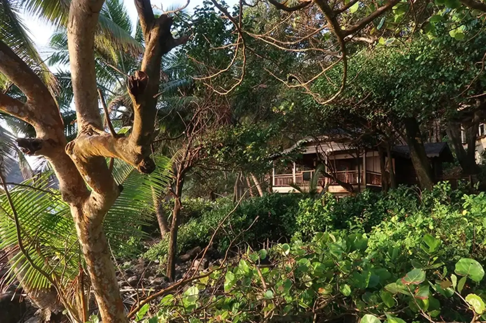 Kwanari Eco-lodge, Dominica / HM Design