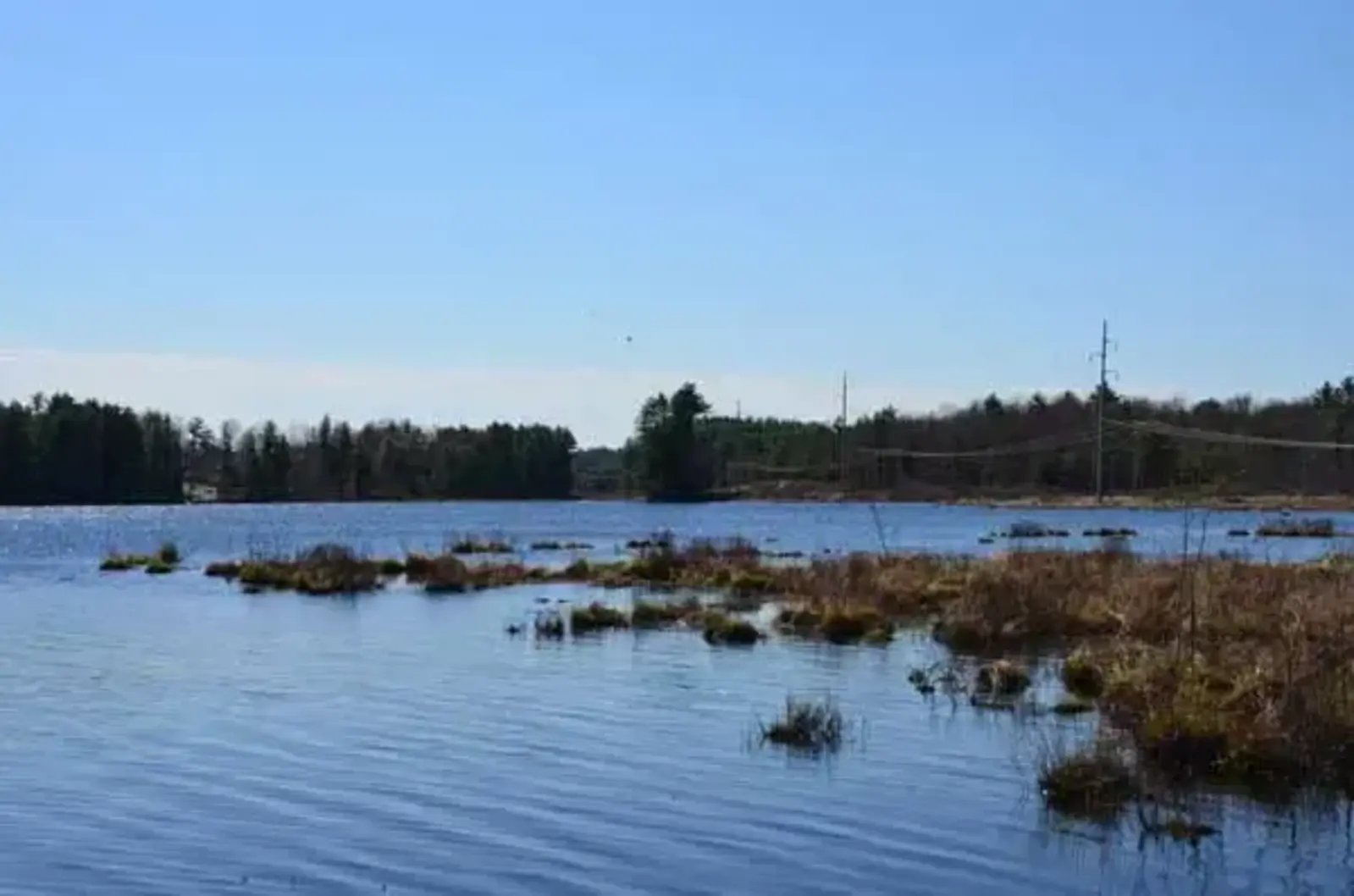 Image credit: T. J. Boyle Associates