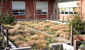 ASLA Honor Award Recipient, Mount Tabor Middle School Rain Garden by Kevin Robert Perry, ASLA (Photo: Kevin Robert Perry)