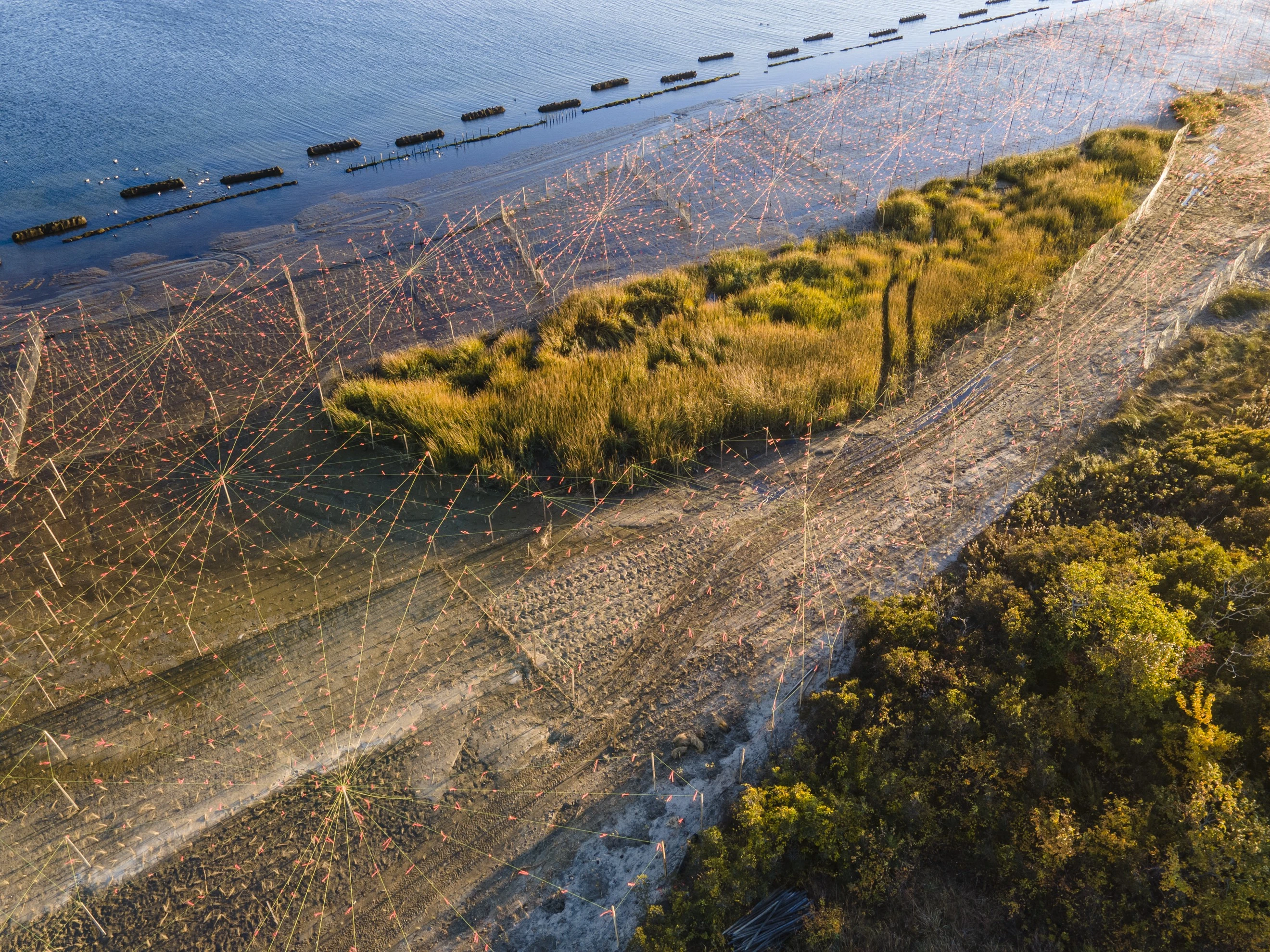 Image of West Pond Living Shoreline
