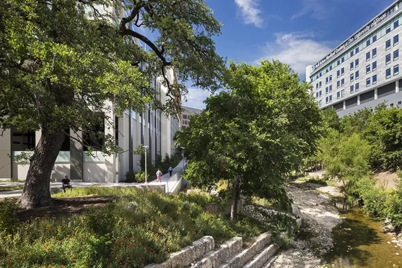 At the University of Texas - Austin Dell Medical District, Cordova Cream Limestone, which is found near Austin, were used for seat walls and retaining walls at Waller Creek. / © Sasaki Associates, I