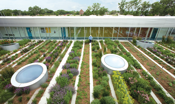 Rooftop Haven for Urban Agriculture
