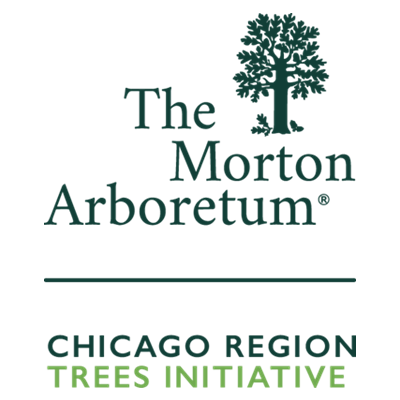 CRTI_Logo