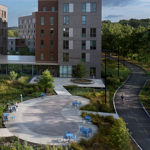 Biodiversity & Climate Action 101 for Landscape Architects