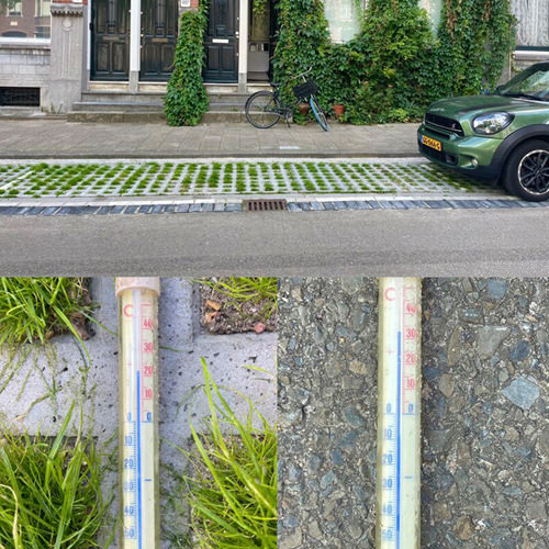 Climate-adaptive parking in Rotterdam