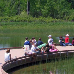 Children-NDD-James-Clarkson-Environmental-Discovery-Center.jpg
