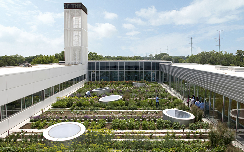 Rooftop Gardens – Healthy Food for Cities – Natural Building Blog