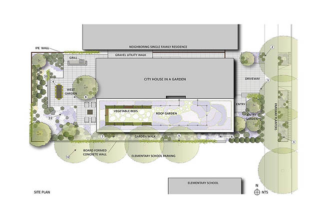 residential landscape plan