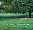 A clearing in the woods