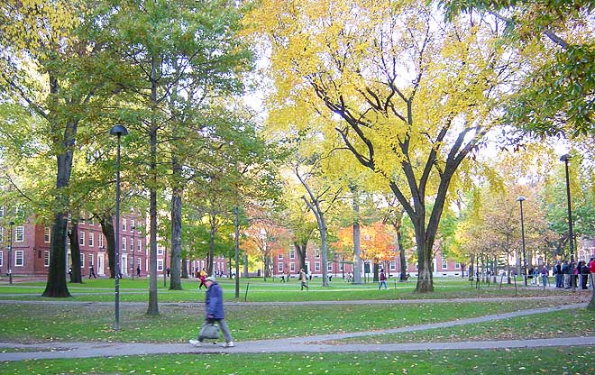 Harvard Yard | The Landscape Architect’s Guide to Boston