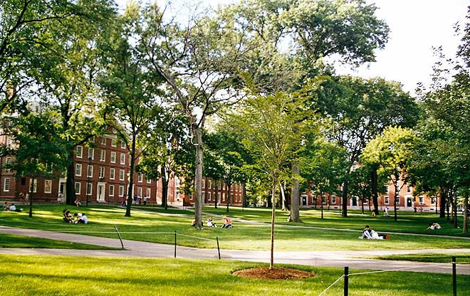 Harvard 4